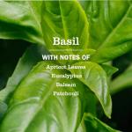 MRS. MEYER'S Basil All-Purpose Cleaner Spray - 3 Pack