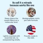 Carpet Miracle - Deep Cleaning Shampoo Solution (1 Gallon)