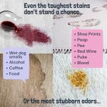 Carpet Miracle - Deep Cleaning Shampoo Solution (1 Gallon)