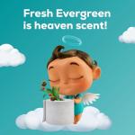 Angel Soft Evergreen Scent Toilet Paper, 8 Mega Rolls