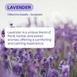 ATTITUDE Lavender All-Purpose Cleaner, EWG Verified 27.1 Oz