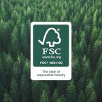 Amazon Basics 12 Double Thickness Paper Towels