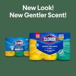 Clorox Disinfecting Wipes Value Pack - 225 Count