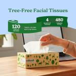 Eco-Friendly 3-Ply Tree-Free Facial Tissue - 480 Sheets