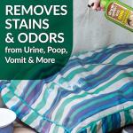 Simple Green Bio Dog Stain & Odor Remover
