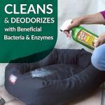 Simple Green Bio Dog Stain & Odor Remover