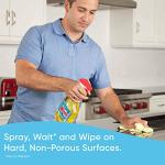 Windex Multipurpose Cleaner Spray - Citrus Fresh 23 oz