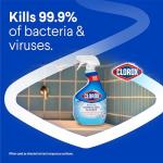 Clorox 30 Fl Oz Cleaner Bottle