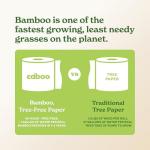 Caboo Eco-Friendly 2-Ply Paper Towels, 8 Rolls