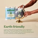 Caboo Eco-Friendly 2-Ply Paper Towels, 8 Rolls