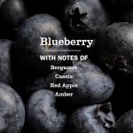 MRS. MEYER'S Blueberry Multi-Surface Cleaner, 3 Pack