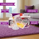 Total Care Carpet Cleaning Kit for Home & Pets