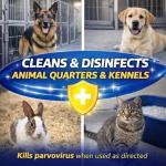 VIREX All Purpose Disinfectant Cleaner - 2 Pack