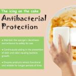 Organic Cotton Kitchen Sponges - 6 Count Pack