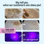 Carpet Miracle Shampoo - Deep Clean & Deodorize