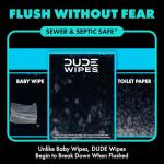 DUDE Wipes - Flushable Mint Chill Wipes, 48 Count