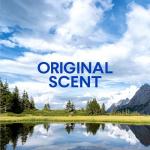 Clorox Multi-Surface Cleaner with Bleach, 32 Fl Oz