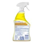 Lysol Multi-Purpose Disinfectant Spray Pack of 4