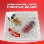 Resolve Triple Oxi Carpet Stain Remover, 22 Oz