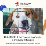 Bissell Deep Clean Pro 4X Carpet Shampoo, 48 oz