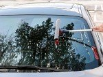 Professional Window Squeegee with Telescopic Pole
