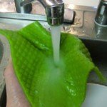 If You Care Natural Sponge Cloths – 5 Pack