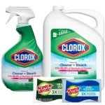 All-Purpose Cleaner with Bleach & Sponge Bundle