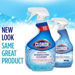 Clorox 30 Fl Oz Cleaner Bottle