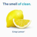Clorox All-Purpose Cleaner, Lemon Scent, 32 Oz