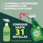 Simple Green All-Purpose Cleaner - 32 oz