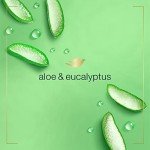 Dove Aloe & Eucalyptus Foaming Hand Wash 4-Pack