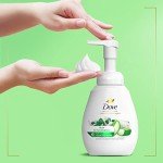 Dove Aloe & Eucalyptus Foaming Hand Wash 4-Pack