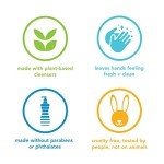 Method Lemon Mint Foaming Hand Soap - 10 Fl Oz