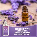 Lavender Hand Soap - Eco-Friendly 17 oz (6 Pack)