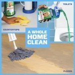 Mr. Clean Multi Surface Cleaner, Choose Your Scent