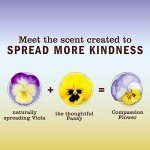 Mrs. Meyer's Clean Day All-Purpose Cleaner - 3 Pack