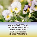 Mrs. Meyer's Clean Day All-Purpose Cleaner - 3 Pack