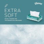 Kleenex® Professional 2-Ply Facial Tissue, Bulk Box