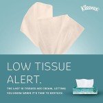 Kleenex® Professional 2-Ply Facial Tissue, Bulk Box