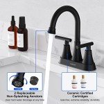 Matte Black 2-Handle Bathroom Sink Faucet