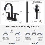 Matte Black 2-Handle Bathroom Sink Faucet