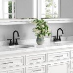 Matte Black 2-Handle Bathroom Sink Faucet