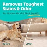 Carpet Miracle Cleaner for Hoover & Bissell Machines