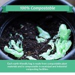 Compostable 6-8 Gallon Trash Bags | 100 Pack
