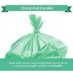 Compostable 6-8 Gallon Trash Bags | 100 Pack