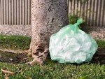 Compostable 6-8 Gallon Trash Bags | 100 Pack