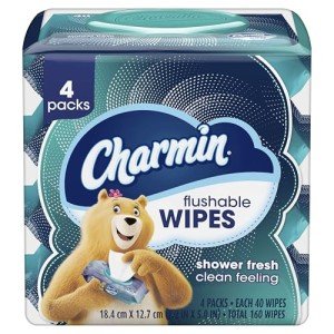 Charmin Flushable Wipes - 160 Total Wipes