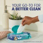 Charmin Flushable Wipes - 160 Total Wipes