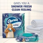 Charmin Flushable Wipes - 160 Total Wipes