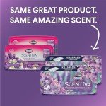 Clorox Scentiva Lavender Disinfecting Mop Pads, 48 Count